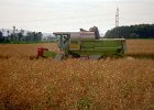 Claas Drescher 03
